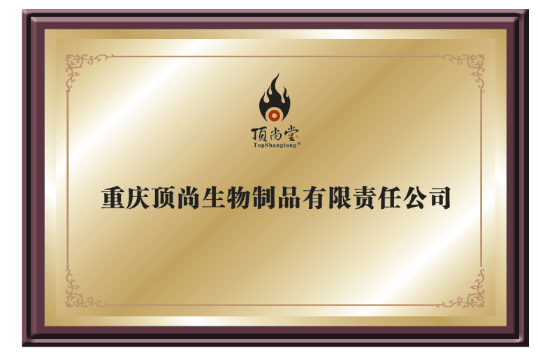 資質(zhì)榮譽(yù)